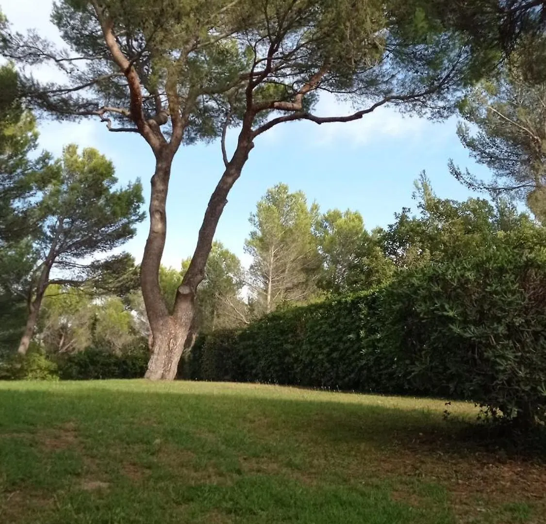 Studio Villeneuve-Les-Avignon Terrasses Sous Les Pins Apartment